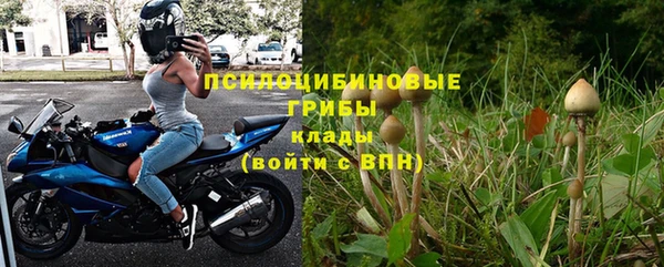 стаф Алексеевка
