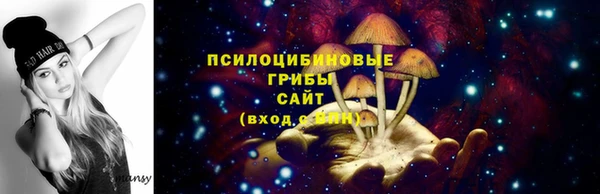 стаф Алексеевка