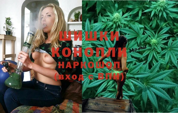 ГАЛЛЮЦИНОГЕННЫЕ ГРИБЫ Алексин