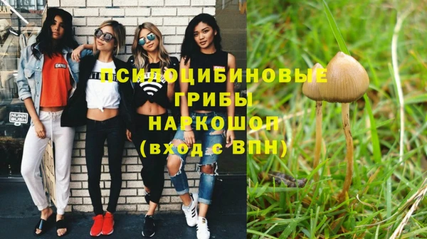 ешки Арсеньев