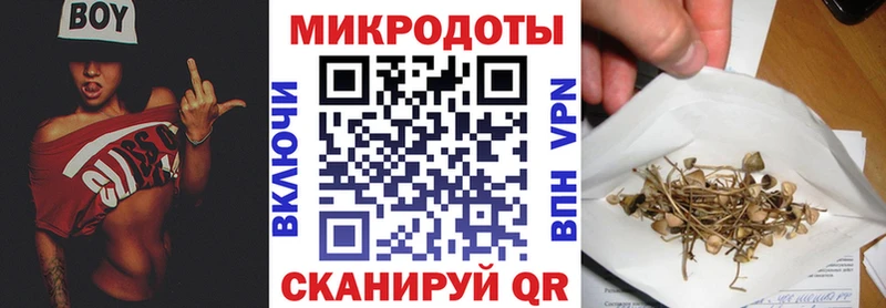 мега как войти  Рошаль  Псилоцибиновые грибы прущие грибы 